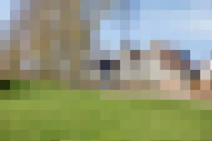 Gamander 38 Dronten thumbnail 46