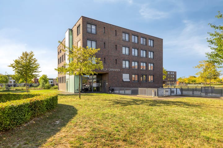 Gamander 6 in Heinkenszand foto