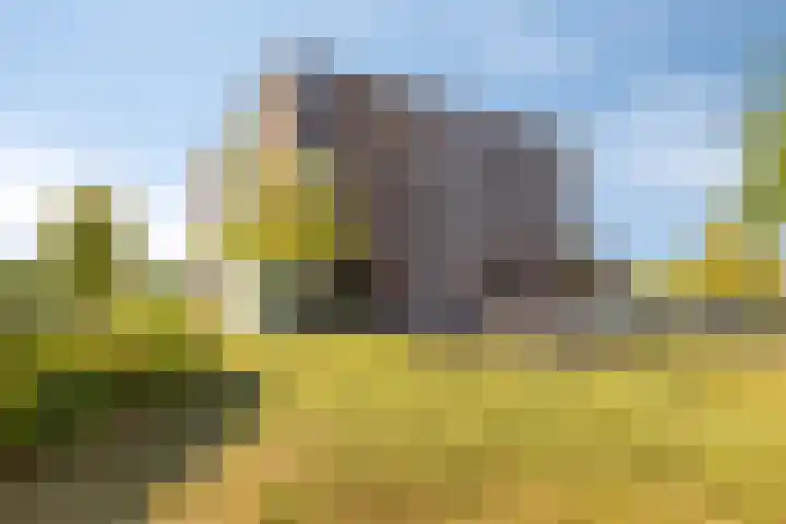 Gamander 6 Heinkenszand