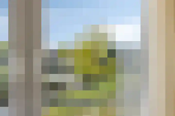 Gamander 6 Heinkenszand thumbnail 17