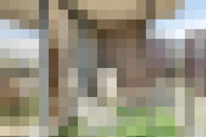 Gamander 6 Heinkenszand thumbnail 26