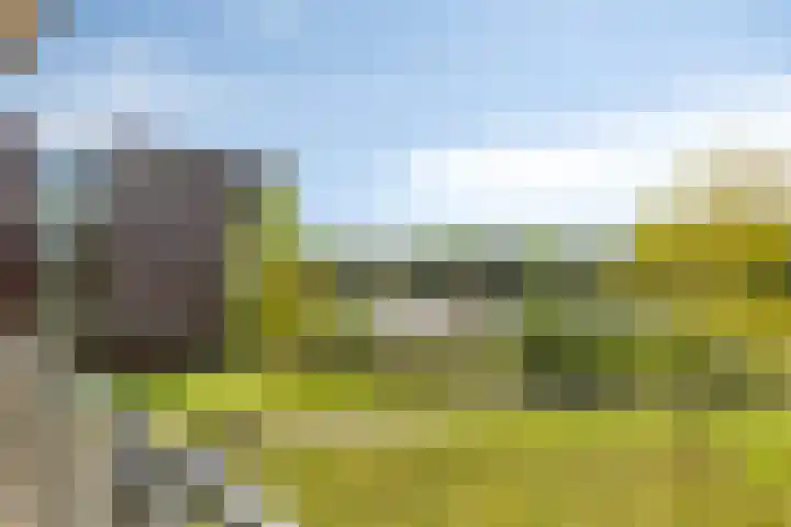 Gamander 6 Heinkenszand thumbnail 29