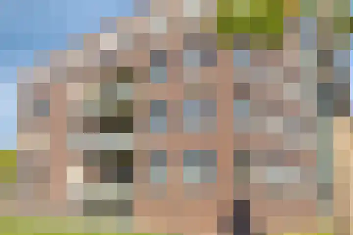 Gamander 6 Heinkenszand thumbnail 5