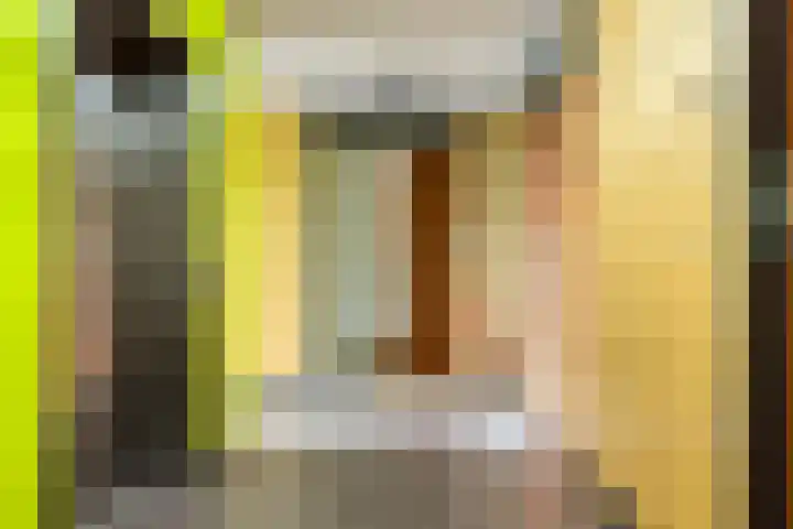 Gamander 6 Heinkenszand thumbnail 7