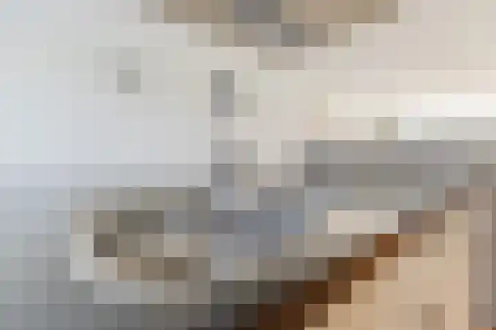 Gandalf 41 Geldrop thumbnail 19