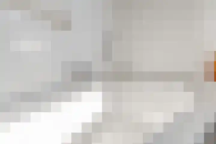 Gandalf 41 Geldrop thumbnail 26