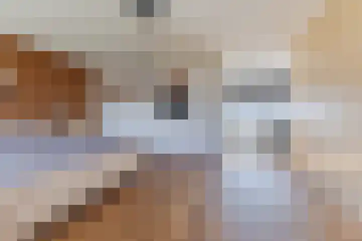 Gandalf 41 Geldrop thumbnail 33