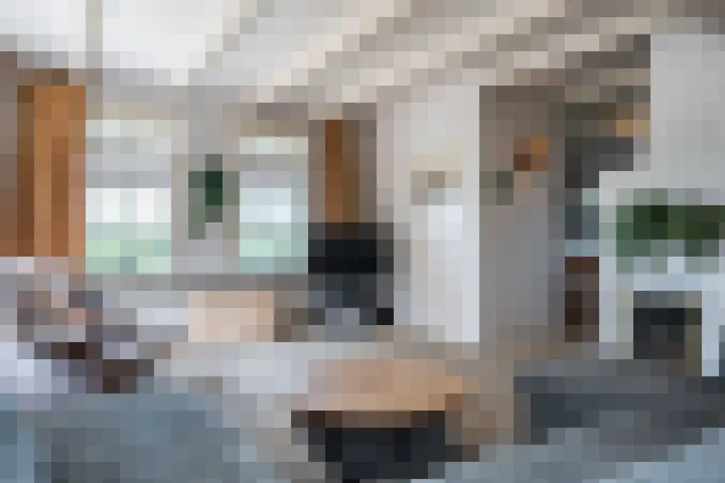 Gangwerf 12 Twisk thumbnail 12