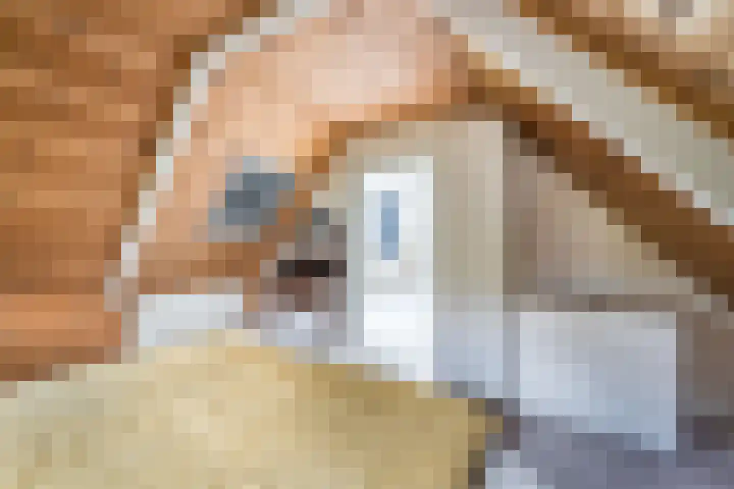 Gangwerf 12 Twisk thumbnail 30