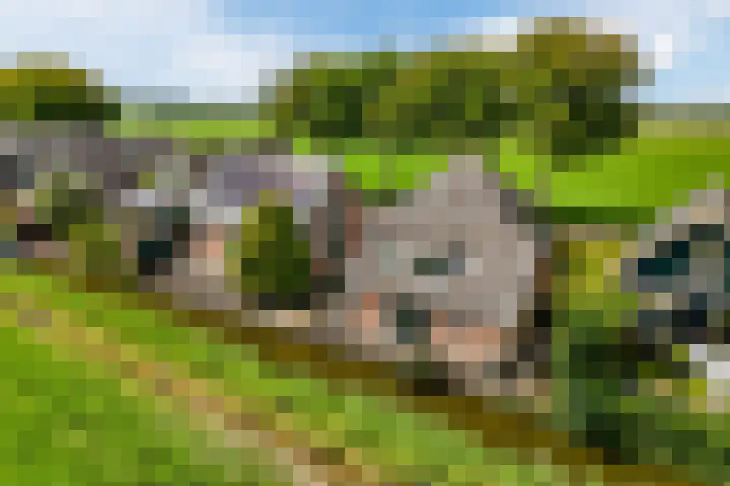 Gangwerf 12 Twisk thumbnail 64