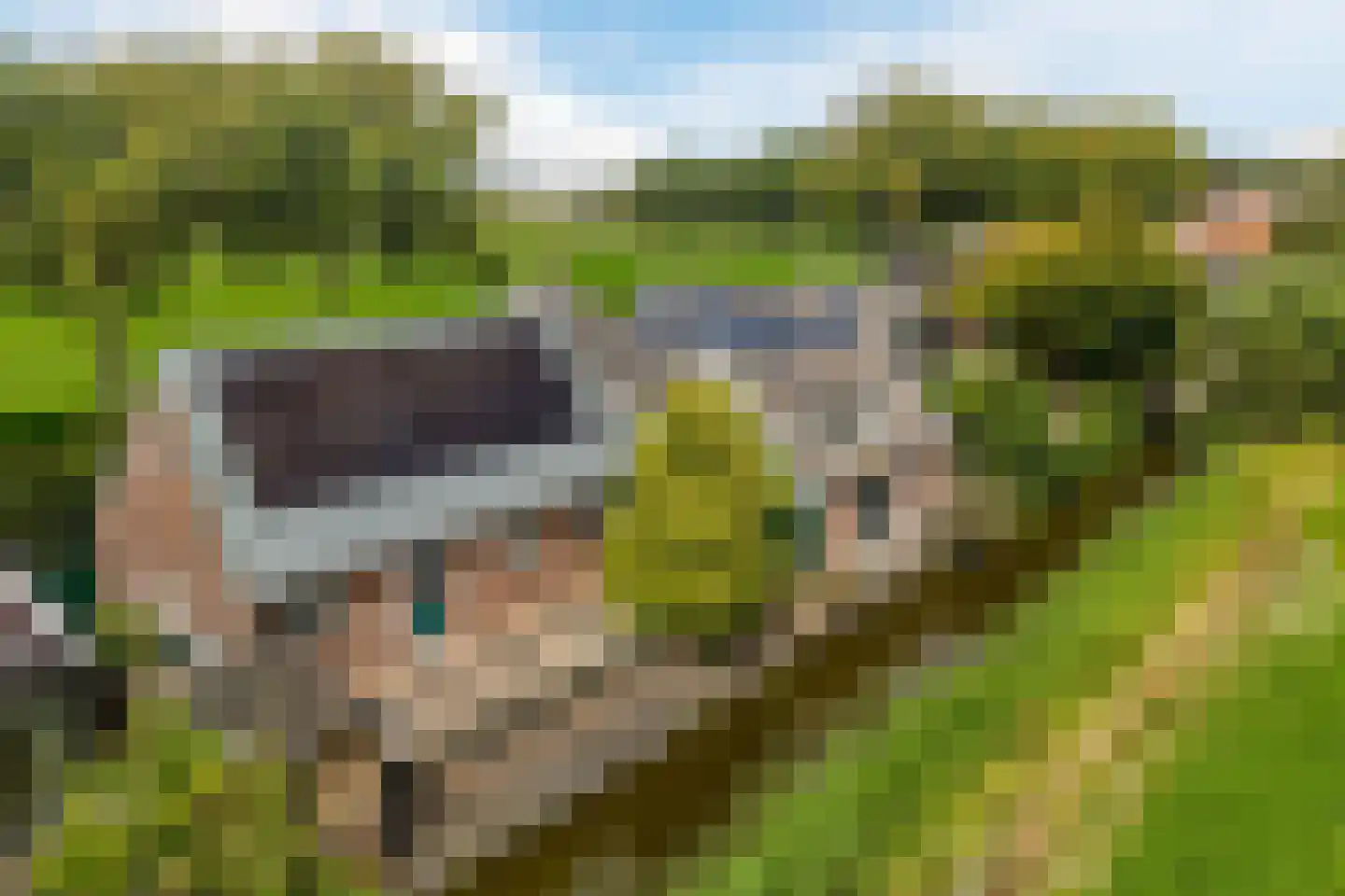 Gangwerf 12 Twisk thumbnail 65
