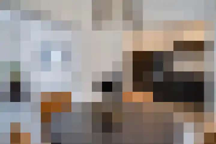 Gank 1 Geulle thumbnail 11