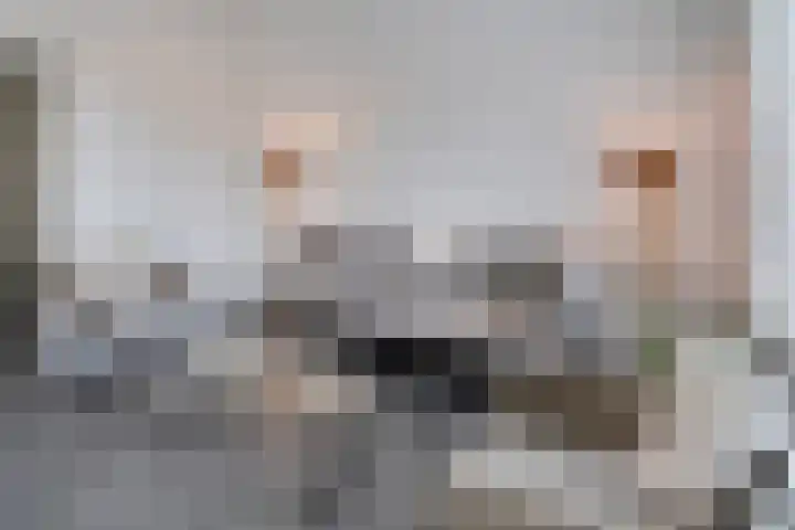 Gank 1 Geulle thumbnail 15