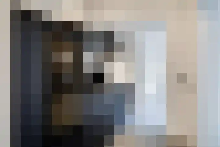 Gank 1 Geulle thumbnail 8