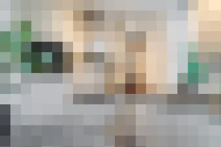 Gank 17 Landgraaf foto 2