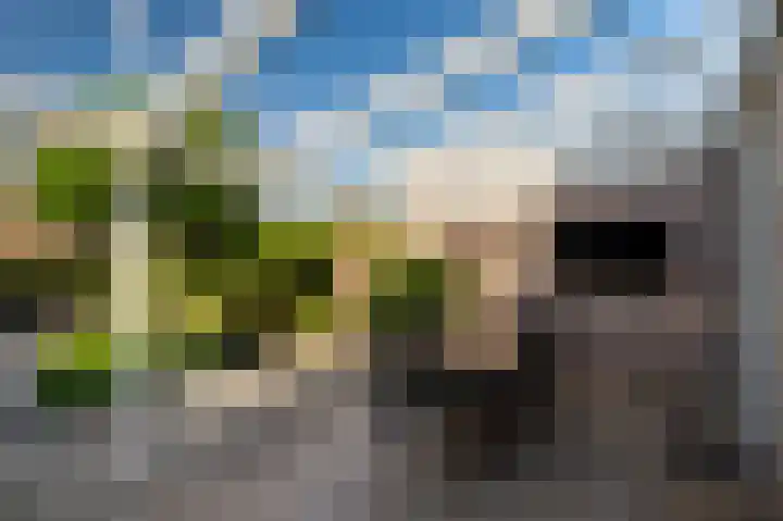 Gank 17 Landgraaf thumbnail 23