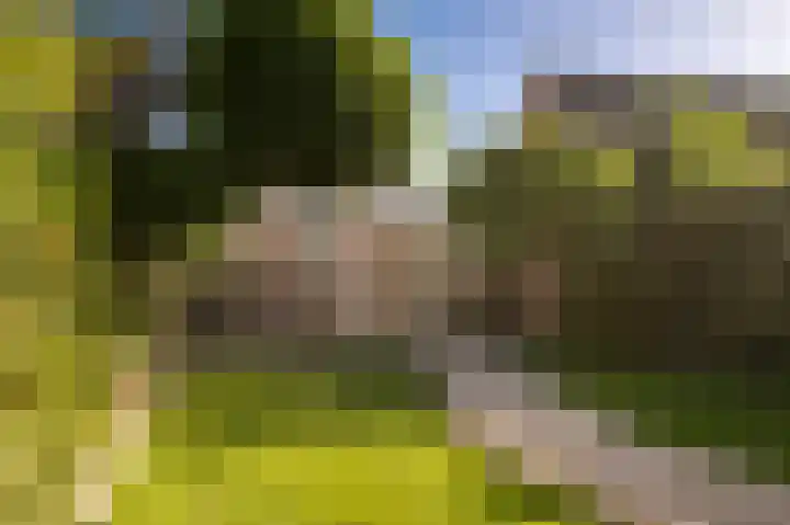 Gank 17 Landgraaf thumbnail 26