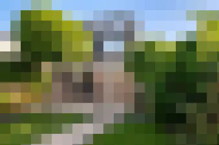 Gank 17 Landgraaf thumbnail 27