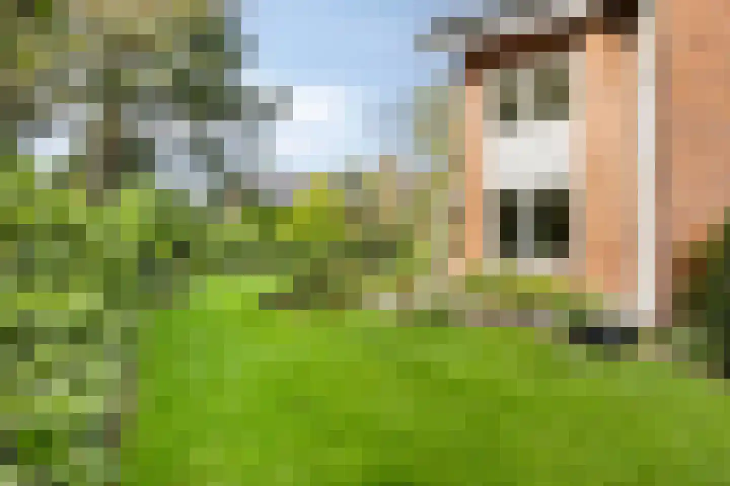 Gank 17 Landgraaf thumbnail 31