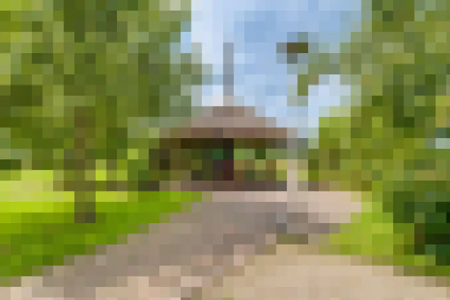 Gank 17 Landgraaf thumbnail 4