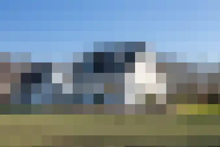 Gank 4 in Geulle