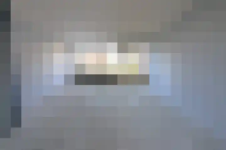 Gans 10 Zoeterwoude thumbnail 11