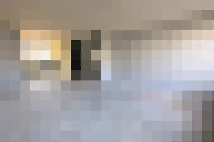 Gans 10 Zoeterwoude thumbnail 12