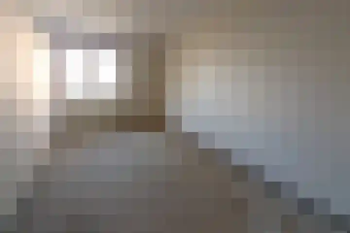 Gans 10 Zoeterwoude thumbnail 17