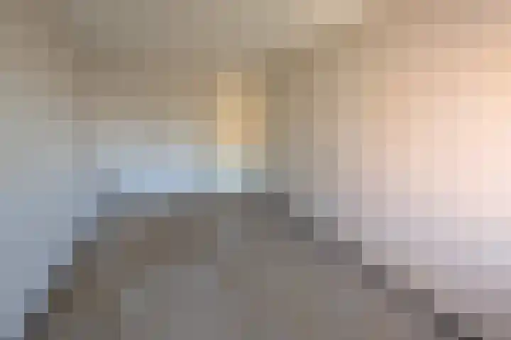 Gans 10 Zoeterwoude thumbnail 18