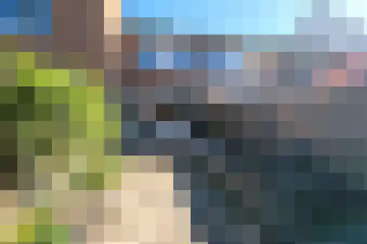 Gans 10 Zoeterwoude foto 2