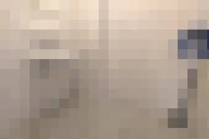 Gans 10 Zoeterwoude thumbnail 20