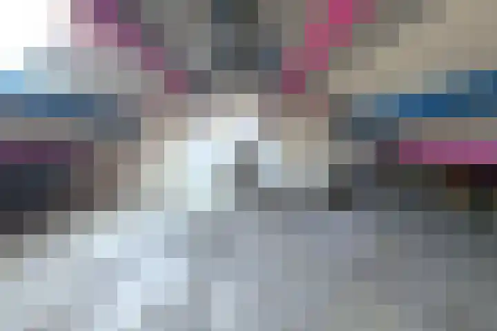 Gans 10 Zoeterwoude thumbnail 23