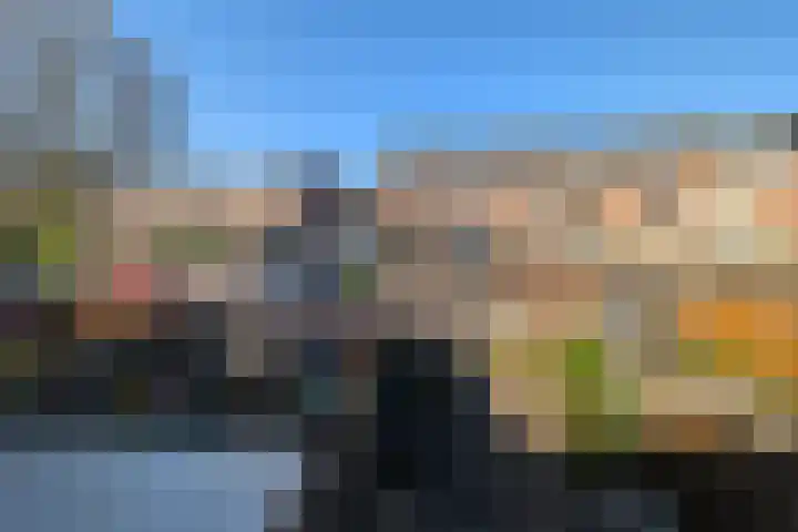 Gans 10 Zoeterwoude thumbnail 25