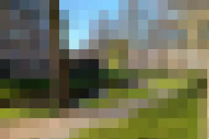 Gans 10 Zoeterwoude foto 3