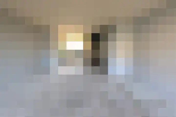 Gans 10 Zoeterwoude thumbnail 4