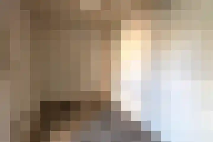 Gans 10 Zoeterwoude thumbnail 7