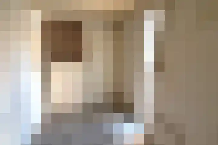 Gans 10 Zoeterwoude thumbnail 8