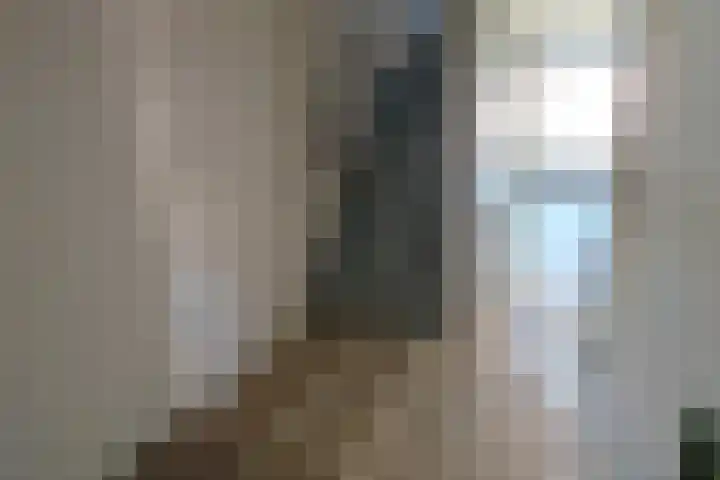 Gans 10 Zoeterwoude thumbnail 9