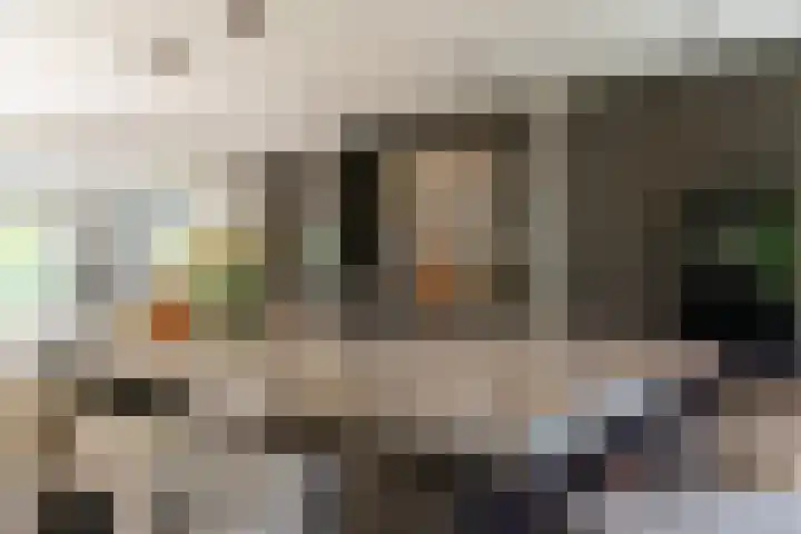 Ganssteeg 3 Beusichem thumbnail 13