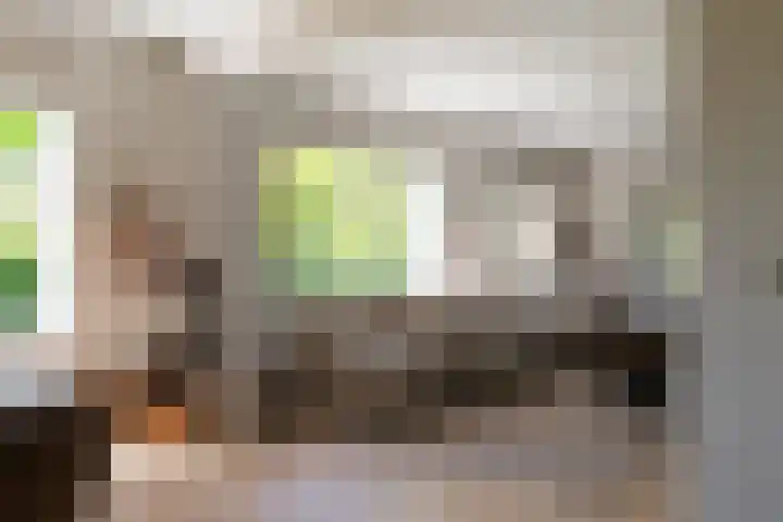 Ganssteeg 3 Beusichem thumbnail 16