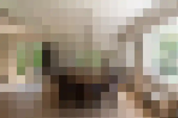 Ganssteeg 3 Beusichem thumbnail 18
