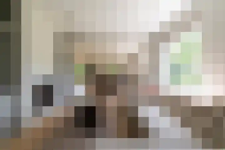 Ganssteeg 3 Beusichem foto 2