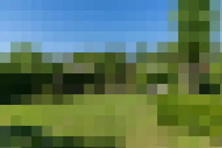 Ganssteeg 3 Beusichem thumbnail 22