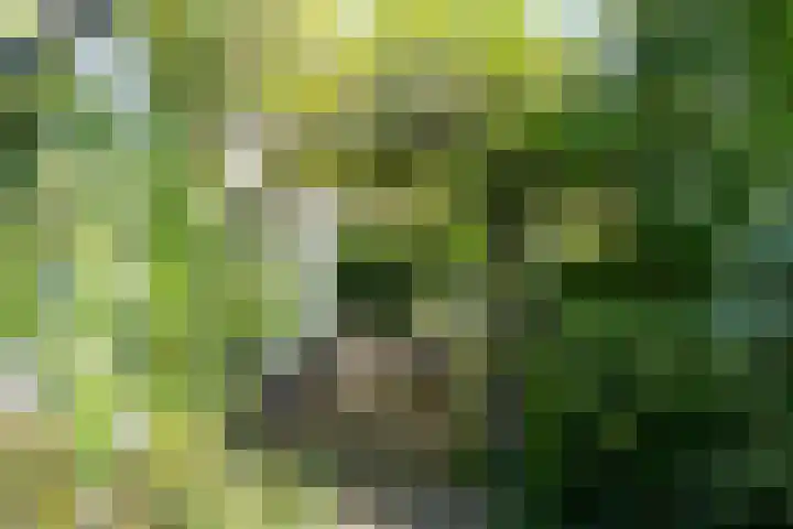 Ganssteeg 3 Beusichem thumbnail 23