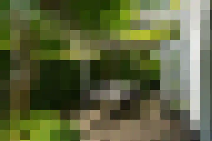 Ganssteeg 3 Beusichem thumbnail 27