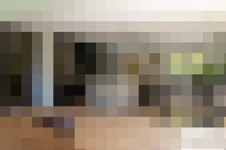 Ganssteeg 3 Beusichem foto 3