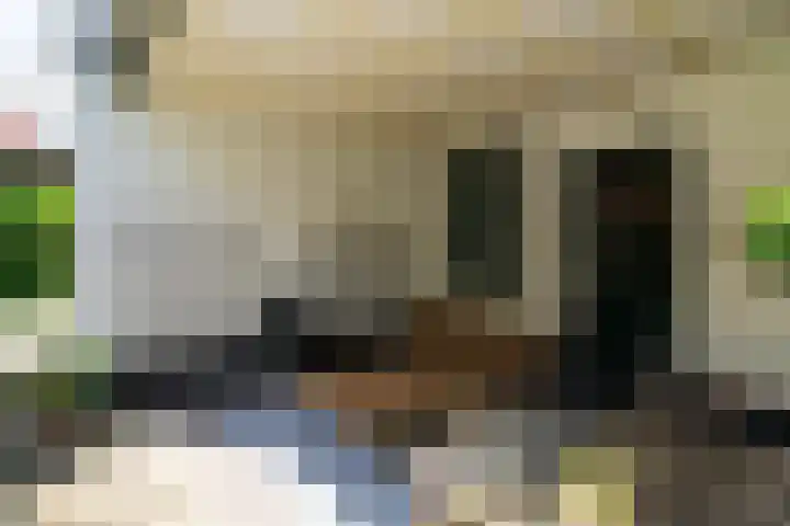 Ganssteeg 3 Beusichem thumbnail 31