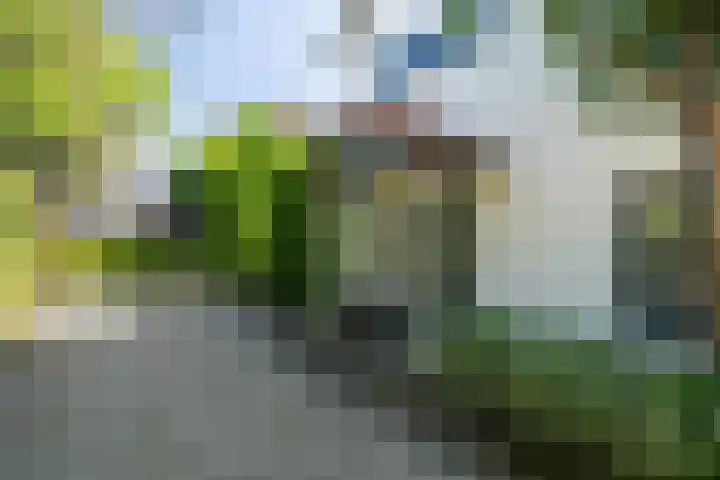 Ganssteeg 3 Beusichem thumbnail 34