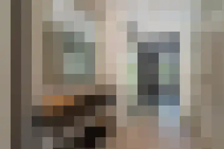 Ganssteeg 3 Beusichem thumbnail 36