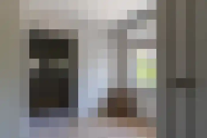 Ganssteeg 3 Beusichem thumbnail 40